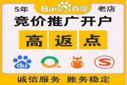 案例分析：百度推广效果优化技巧